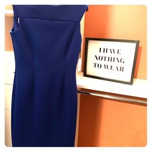 Classy Royal Blue Calvin Klein Dress